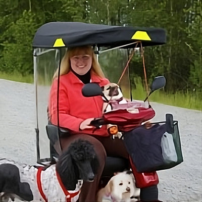 Angela Balsillie