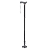 Flex N Go Cane